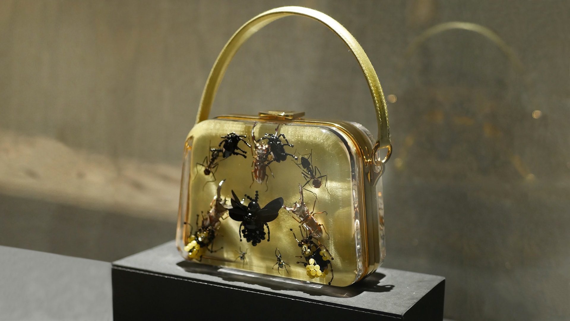 Damien best sale hirst prada