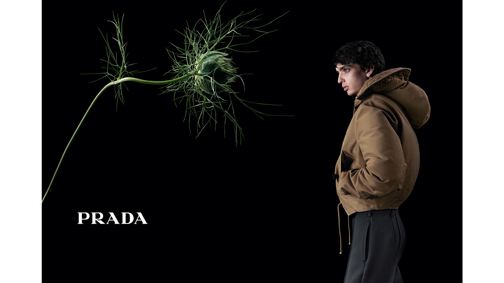 Prada F/W 2023 campaign: “In conversation with a flower”