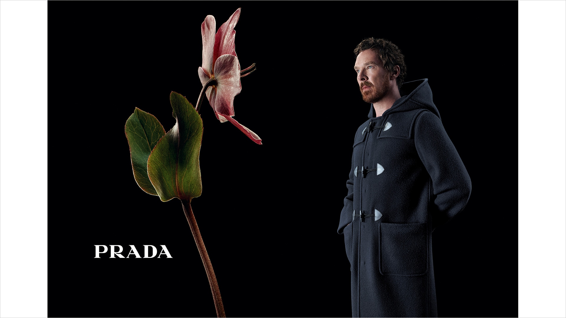 Prada F/W 2023 campaign: “In conversation with a flower”