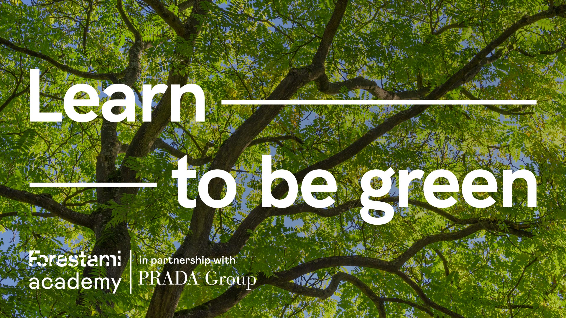Prada集团与Forestami携手推出Forestami Academy项目