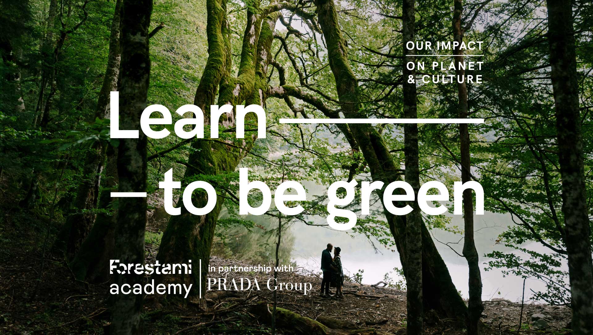 Forestami Academy: second edition