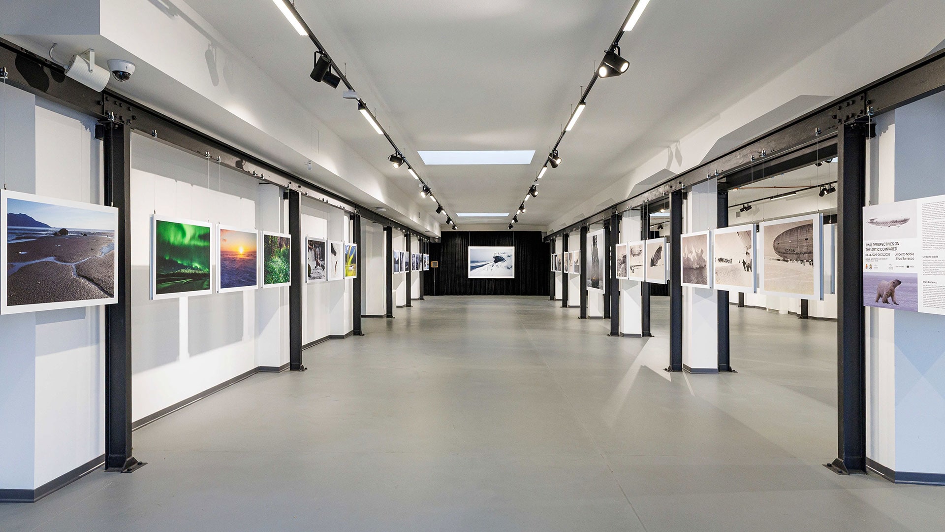 Sea Beyond | "The fight of the forest: Alaska" di Enzo Barracco