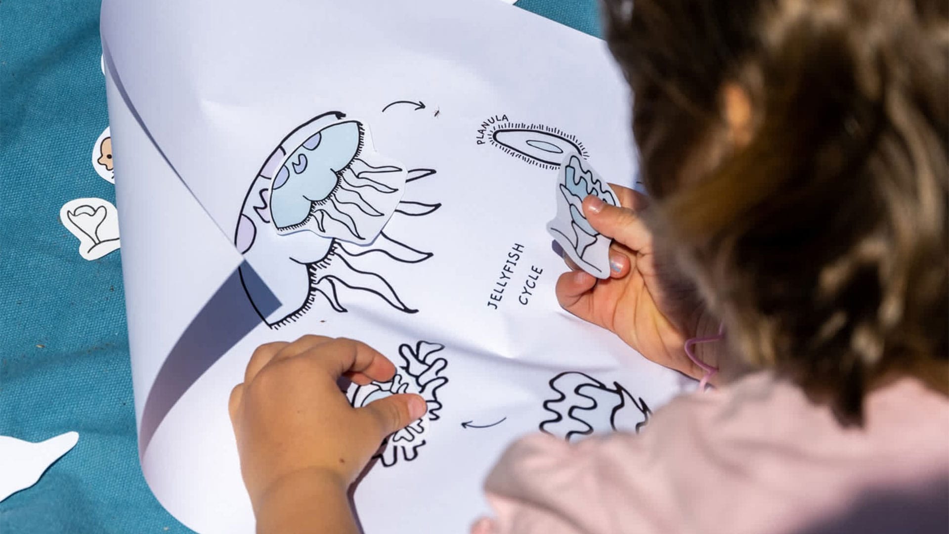 SEA BEYOND educational activities 2026