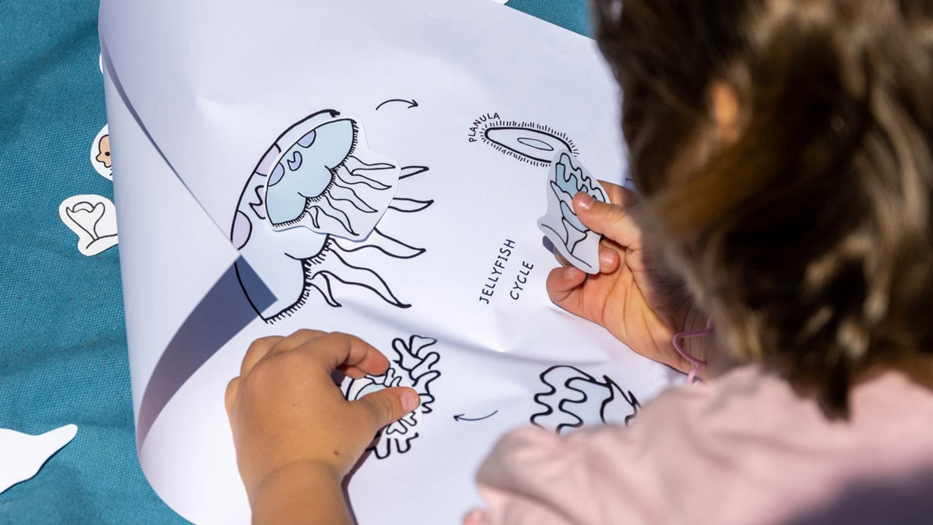 SEA BEYOND educational activities 2026