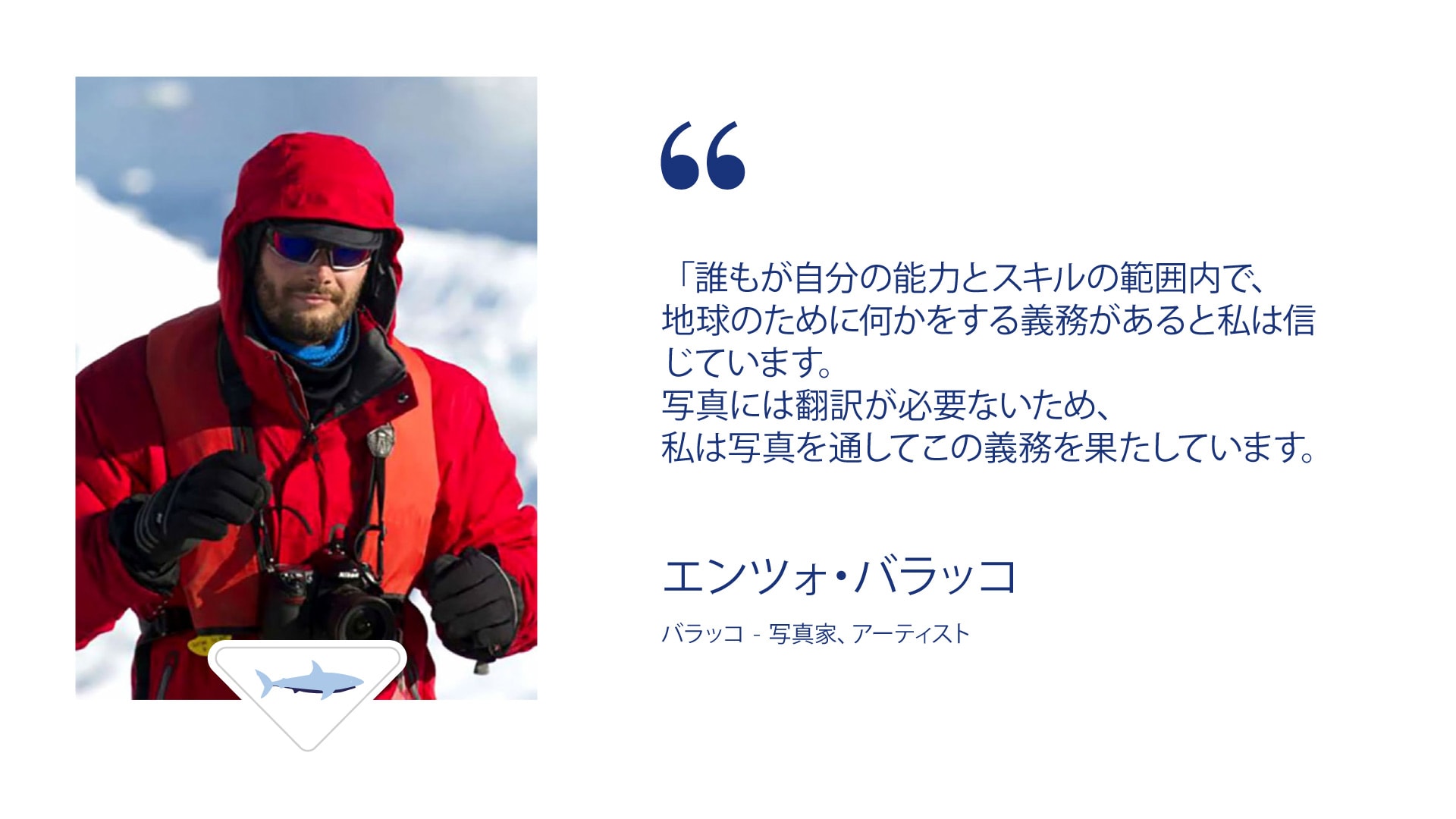 Enzo Barracco - quote